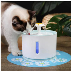 Automatic Pet Water Fountain With LED Lighting